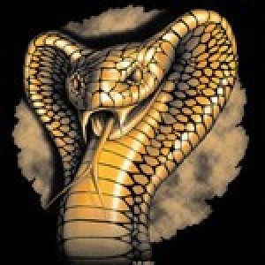 michelsnakes