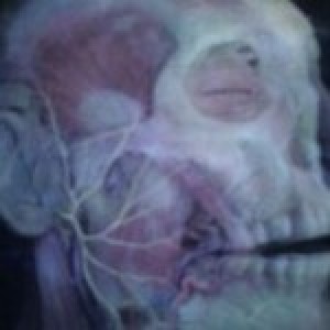 CellfaceProductions