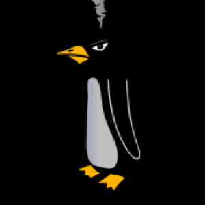 mavenraven