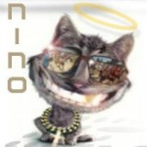 Nino76