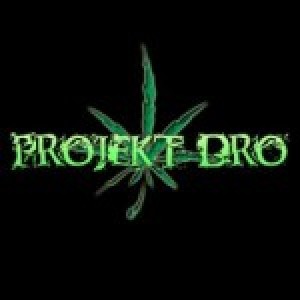 ProjektDro