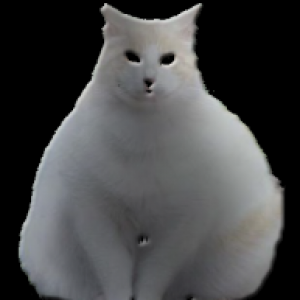 MrPhatcat