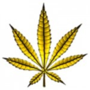 520