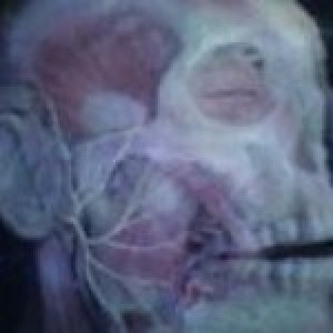 cellface1
