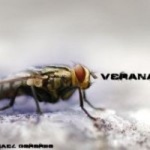 Veranan