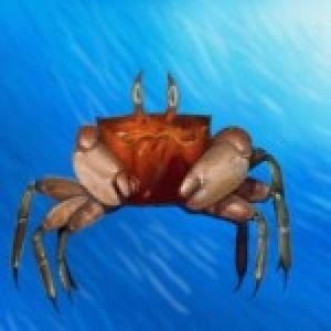 petitcrabe