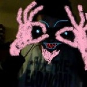 DjFrybag