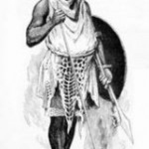 Zfokolo