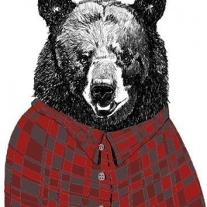 Gandero