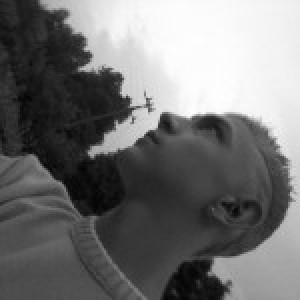 HiVision13