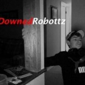 DownedRobottz