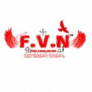 FreeVerseNation