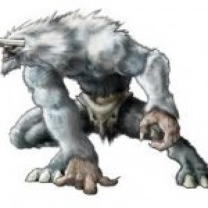 tmoody9797