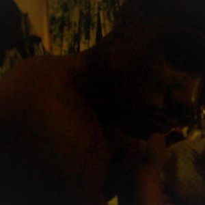 DjNasty22