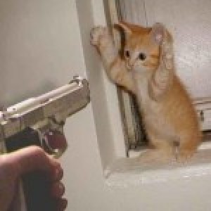 TrifoniusVanPeteghem