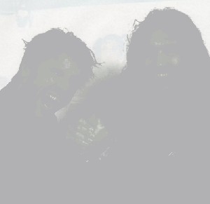 mooseshadows