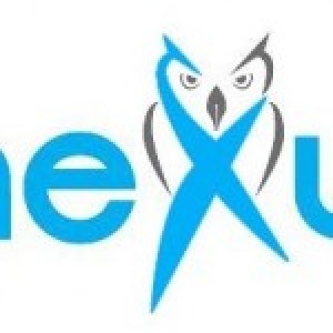 anexusllc