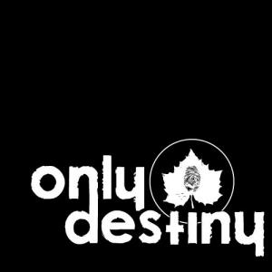 0nlyd3stiny