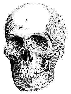 vedantheda75