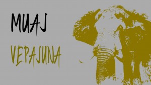 Muaj