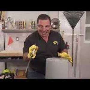 ronniebee