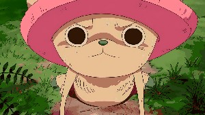 Kittenhugs