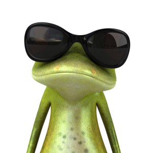 dypikant