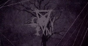 theplatinumcoven