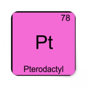 pteradigm