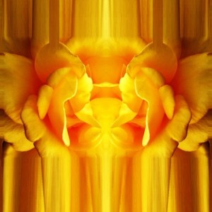 admireArt