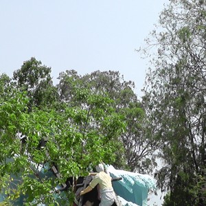 chanti24479