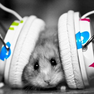 Djswitchuk