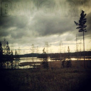 Baugarn