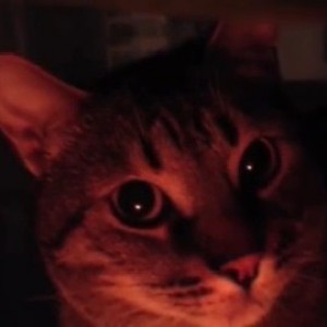 normalbt
