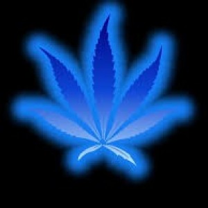 Dj4Notimitated20
