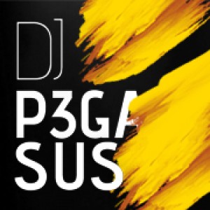 P3gasus