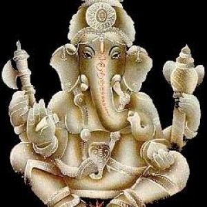 arvinddollars
