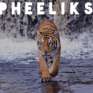 Pheeliks