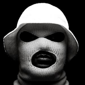 slyfer2011