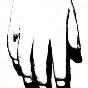 lucasle