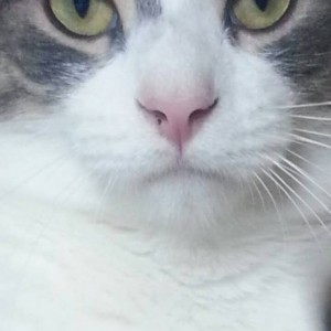xx12794
