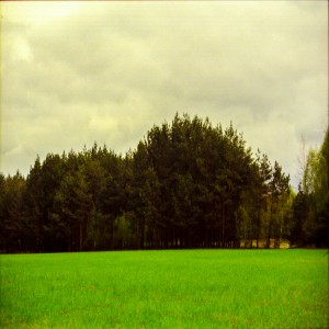 pawlo2013