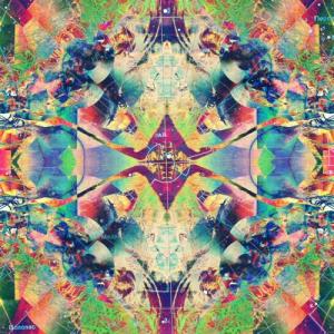 TheMacaw13