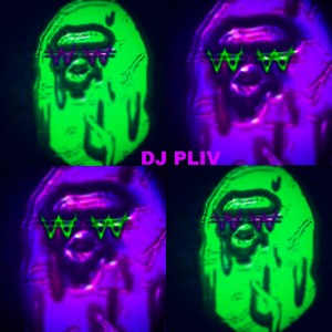DJPLIV313