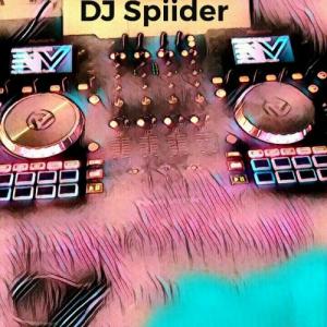 djspider510