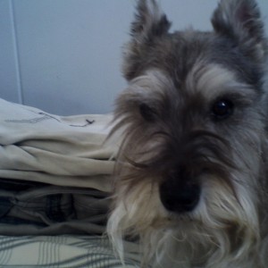 ariv1