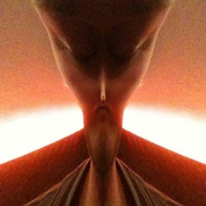 kErel82