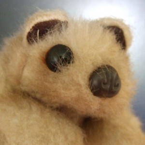 FouDubulbe