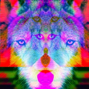 wolfstrange
