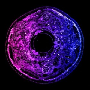 infinitysquare